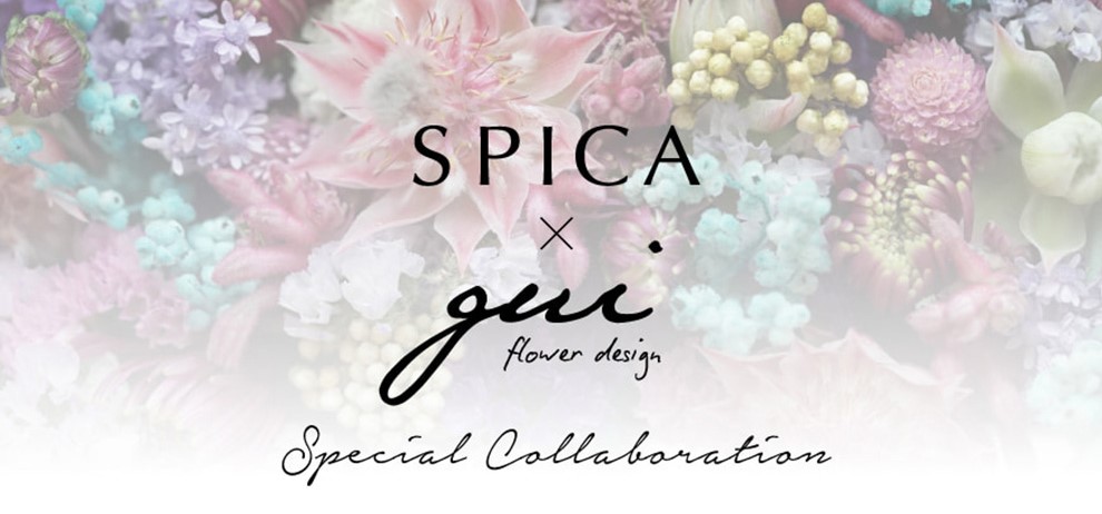 SPICA × gui
