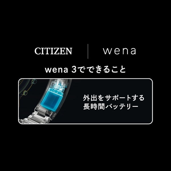 CITIZEN COLLECTION シチズンコレクション Wena 搭載モデル AT2498-51E