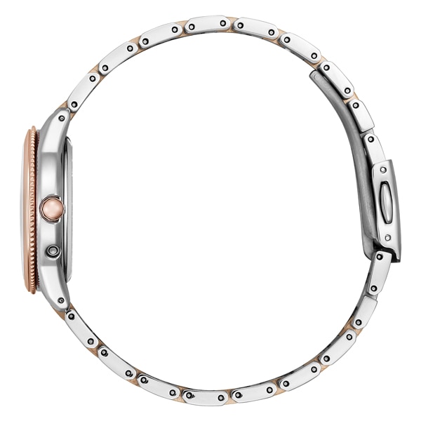 ホワイト(daichi)