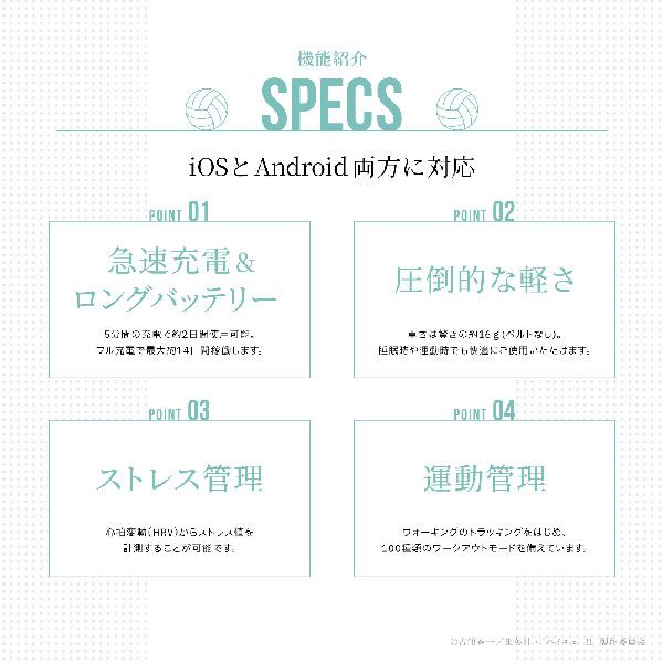 パープル×ホワイト
