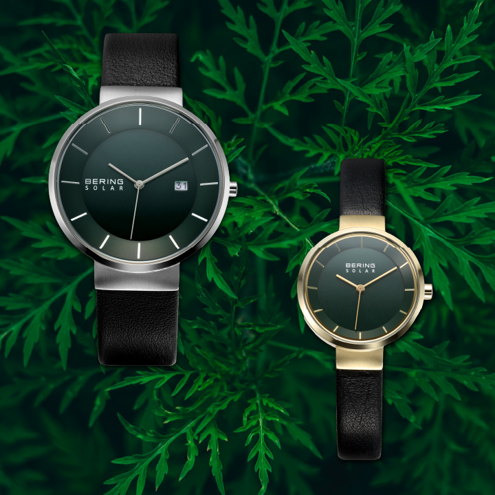 フリーページtest】BERING｜Scandinavian Solar & Changesに深緑の新色